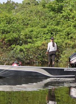 Estado anuncia Temporada de Pesca Esportiva da Calha do Rio Negro no AM