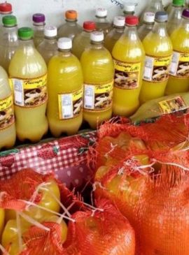 Foto: Agência Pará