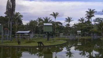 Zoológico do Cigs abre no Dia das Crianças com entrada gratuita
