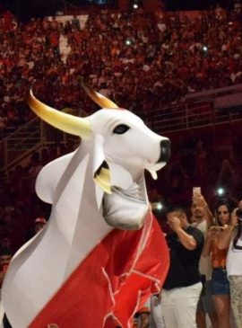 Foto: Márcio Costa/Divulgação