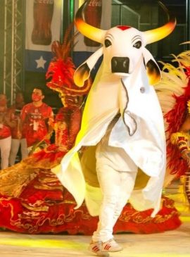 Foto: Divulgação/Boi Garantido