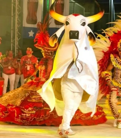Foto: Divulgação/Boi Garantido