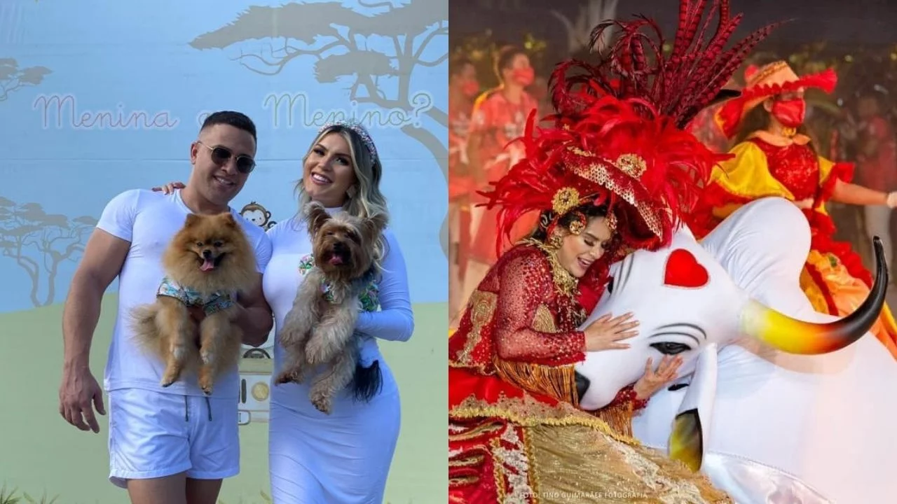 Fotos: Divulgação