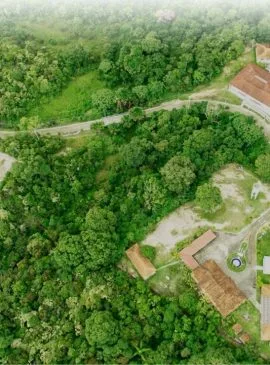 Foto: Divulgação/Instituto Mamirauá