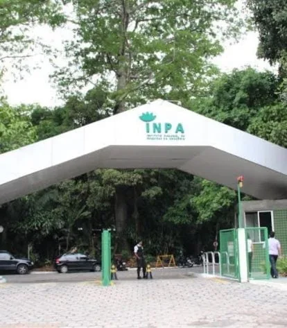 Foto: Eduardo Gomes/Acervo Inpa