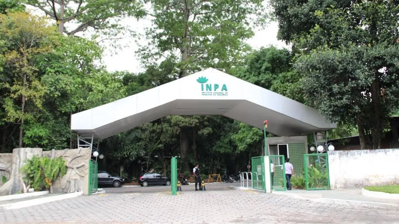 Foto: Eduardo Gomes/Acervo Inpa