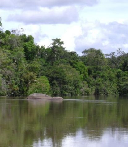 Foto: Ricardo Jerozolimski/Arquivo/ICMBio