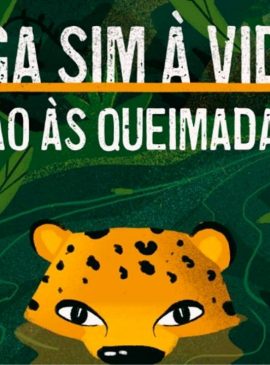 Foto: governo federal