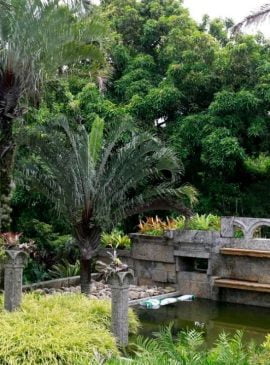 Sítio Roberto Burle Marx. Foto: Tânia Rêgo/Agência Brasil