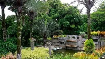 Sítio Roberto Burle Marx. Foto: Tânia Rêgo/Agência Brasil