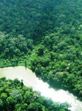Foto: Crisomar Lobato/Semas Pará