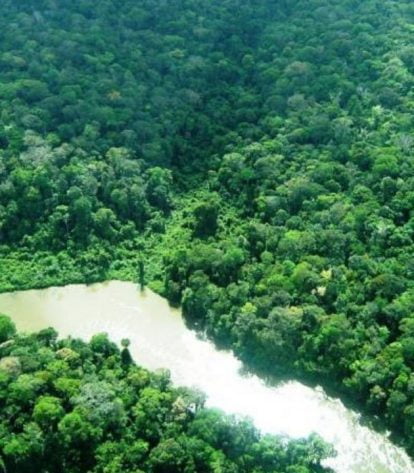 Foto: Crisomar Lobato/Semas Pará