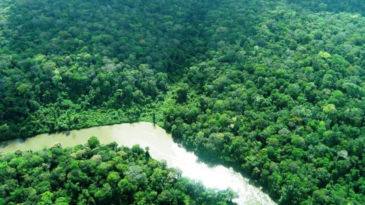 Foto: Crisomar Lobato/Semas Pará