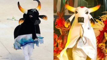 Fotos: Divulgação