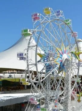 Foto: Divulgação