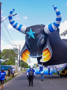 Foto: Arleison Cruz/Boi Caprichoso
