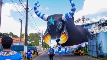 Foto: Arleison Cruz/Boi Caprichoso
