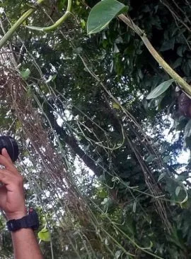 Foto: 'AjuriArtes'/Divulgação 