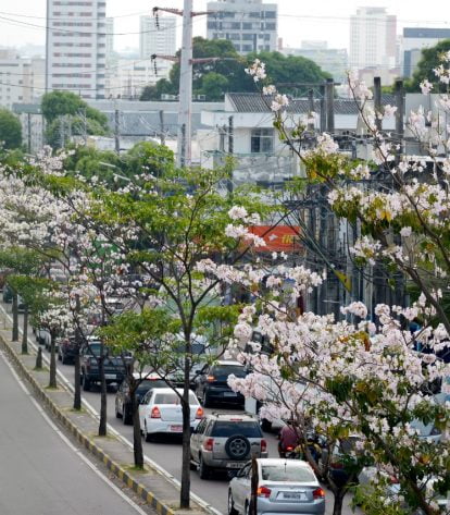 Foto: Alex Pazuello/Arquivo/Semcom