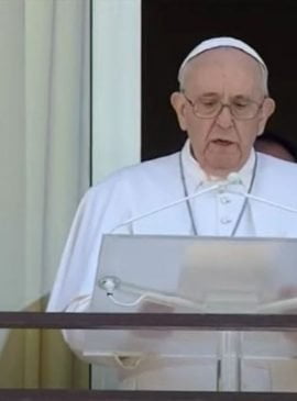 Foto: Vatican News/Reprodução
