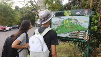 Foto: Sema/Divulgação