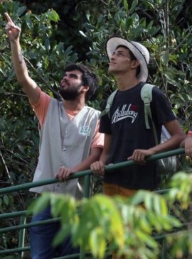 Foto: Sema/Divulgação