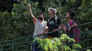 Foto: Sema/Divulgação