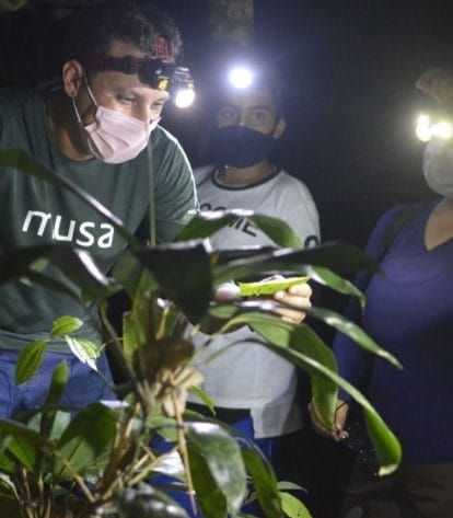Foto: Musa/Divulgação