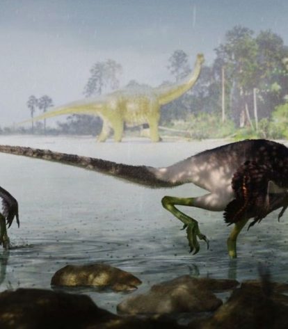 Foto: Divulgação/Museu Nacional Geral