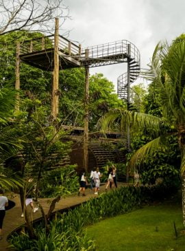 Foto: Divulgação/Amazonastur