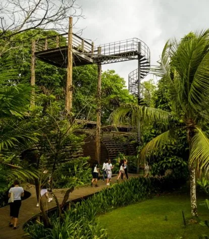 Foto: Divulgação/Amazonastur