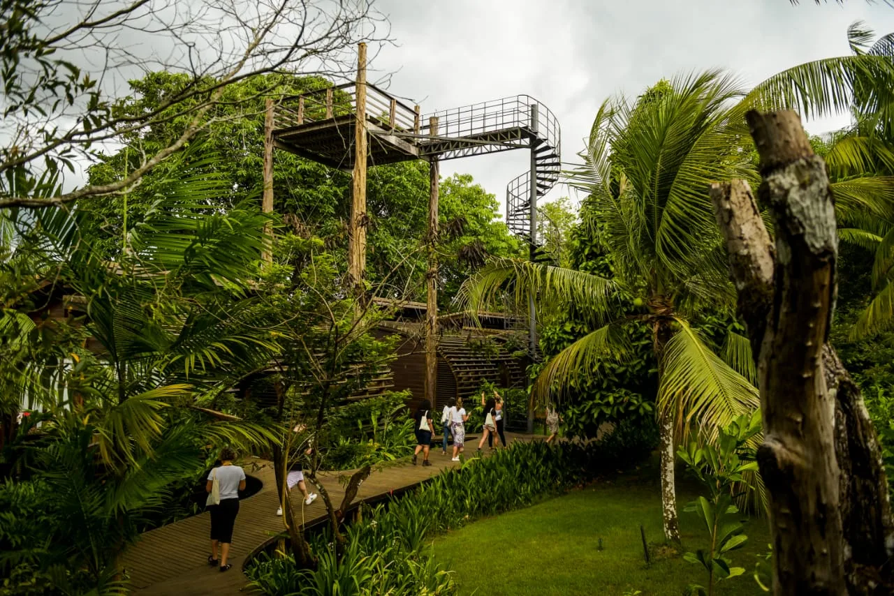 Foto: Divulgação/Amazonastur