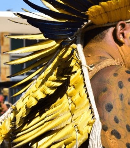 Foto: Divulgação/Ipam