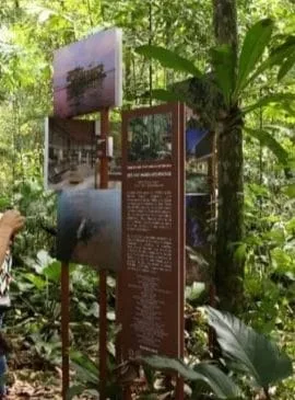 Foto: Divulgação/Nama