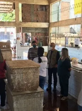 Foto: Adaf/Divulgação
