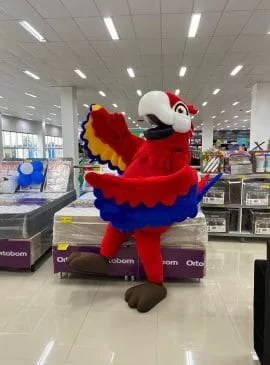 Foto: Divulgação