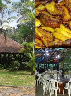 Fotos: Divulgação e Semcom