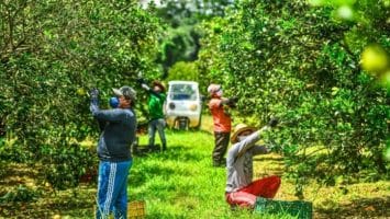 Foto: Arquivo/Secom