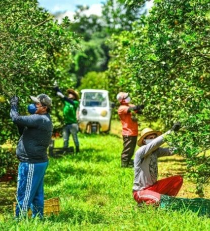 Foto: Arquivo/Secom