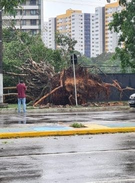 Foto: Implurb/Divulgação