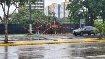 Foto: Implurb/Divulgação