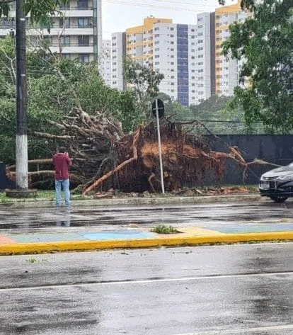 Foto: Implurb/Divulgação