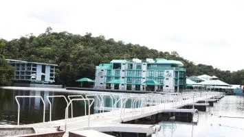 Foto: Amazon Jungle Palace 