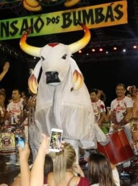 Foto: Luciano Bitencourt