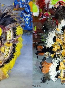 Fotos: Divulgação