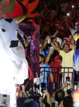 Fotos: Divulgação