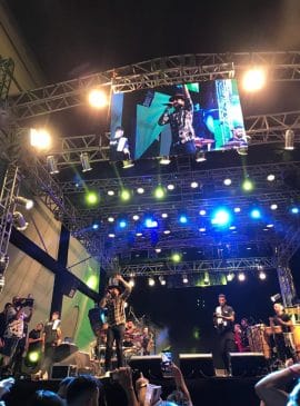 Foto: Edilene Mafra