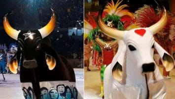 Fotos: Divulgação