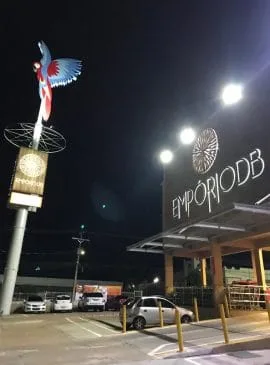 Foto: Edilene Mafra