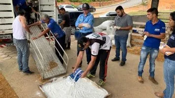 Foto: Divulgação/Adaf